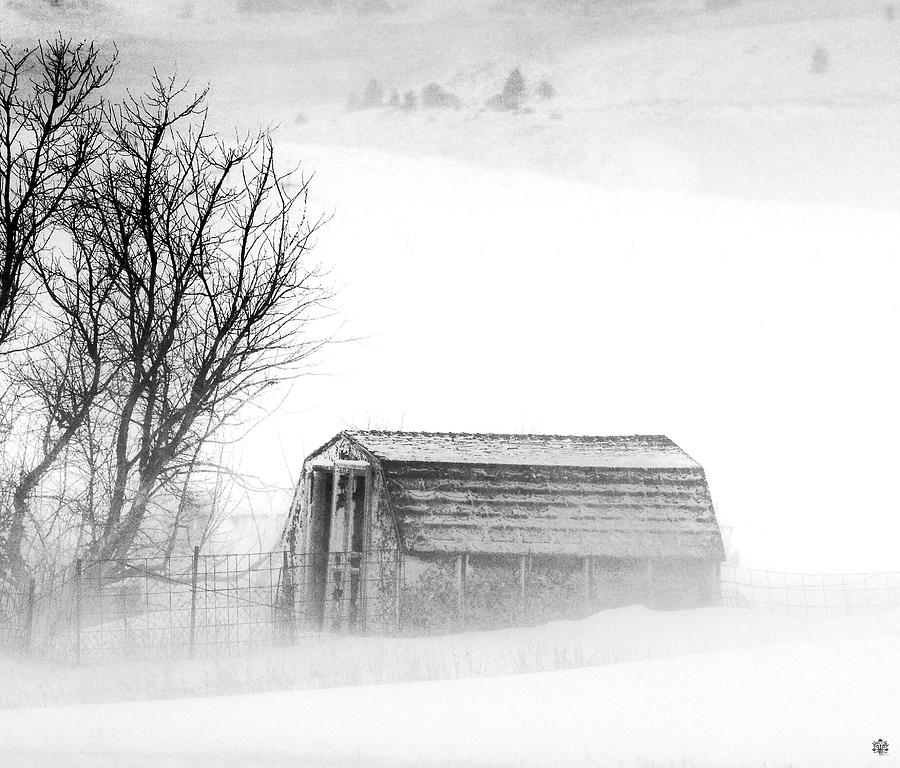 Winter Day Photograph by Kelly Larson