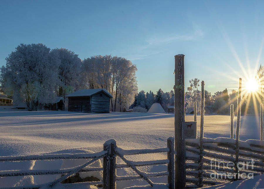 Winter Dream 01 Photograph by Torfinn Johannessen