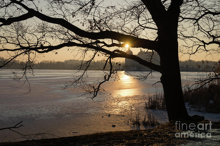 Winter dream at the frozen lake in Moritzburg Photograph by Adriana Mueller