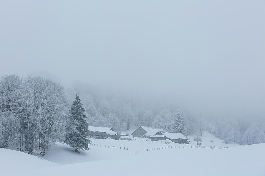 Winter Dreams - 5 - Bugey mountains Photograph by Paul MAURICE