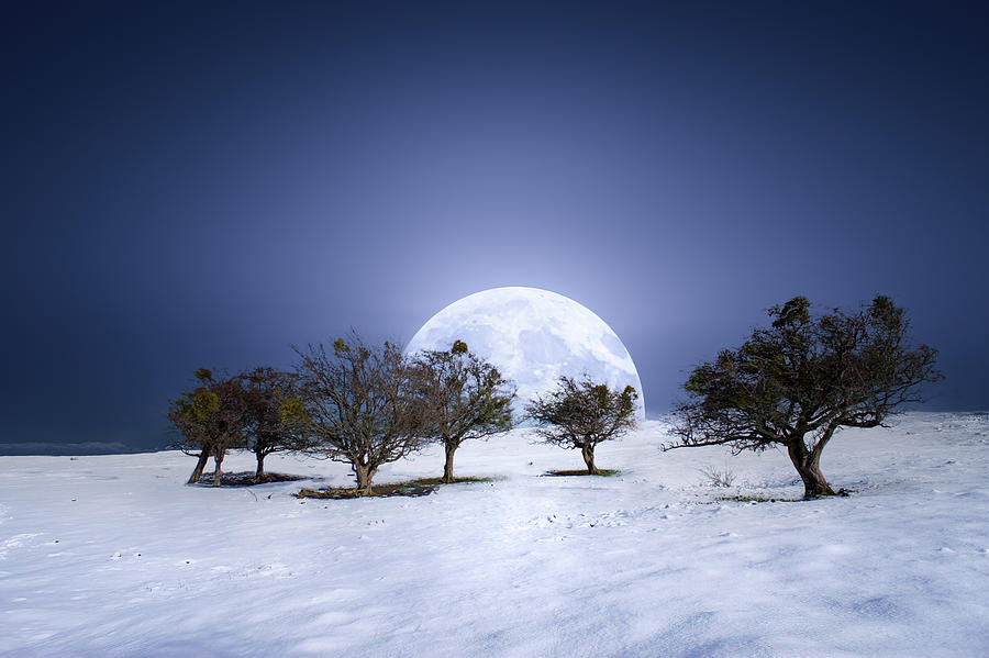 Winter dreams Photograph by Mikel Martinez de Osaba