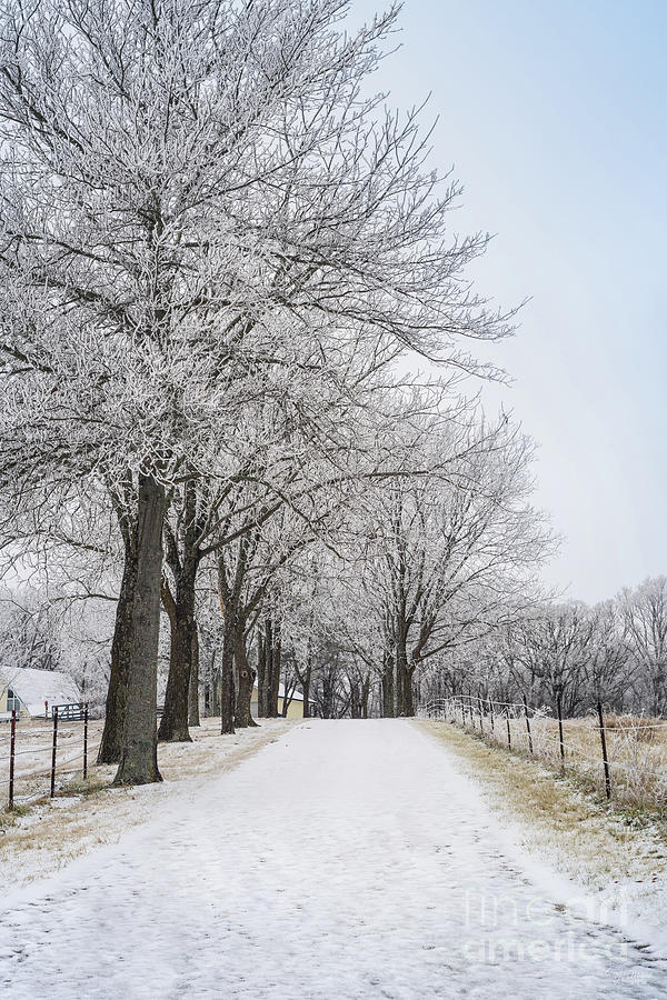Winter Drive Home Photograph by Jennifer White