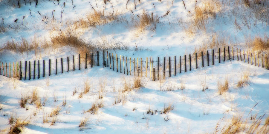 Winter Dunes Photograph by Cathy Kovarik