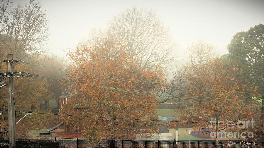 Tree Photograph - Winter Early Morning Mist by Leanne Seymour