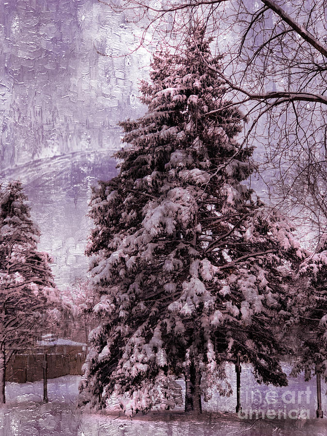 Winter Elegance  Photograph by Luther Fine Art