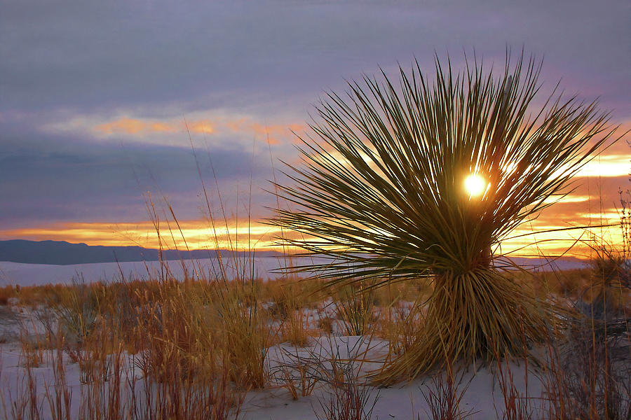 Winter Evening at White Sands Photograph by Jerry Griffin