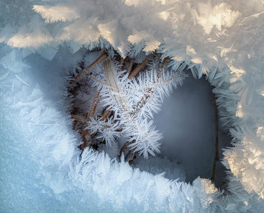 Winter Eye Pattern Photograph by Karen Rispin