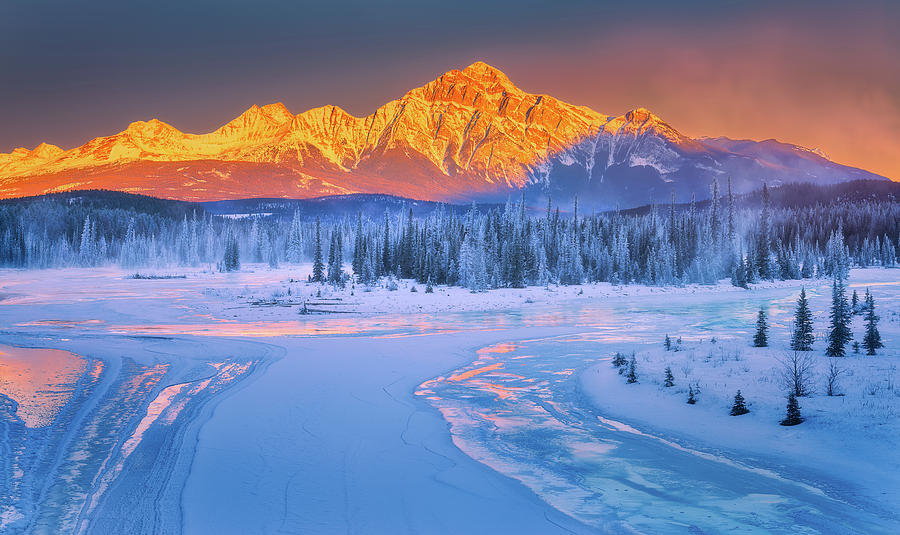 Winter Fantasy Photograph by Henry w Liu