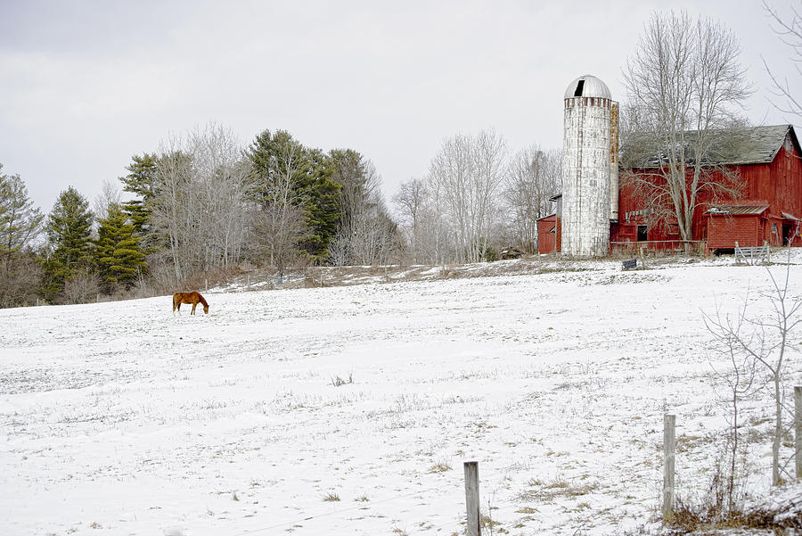 Winter Farm Photograph