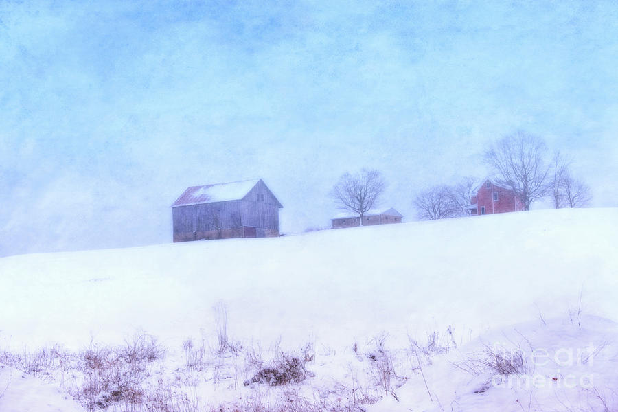 Winter Farm Landscape Digital Art