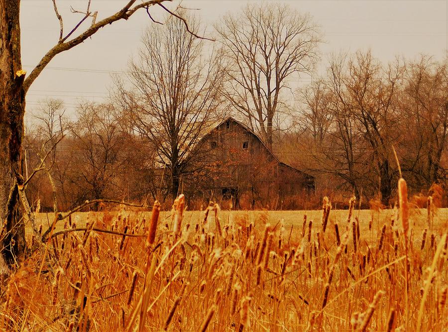 - Winter Farm - New Albany OH Photograph by THERESA Nye