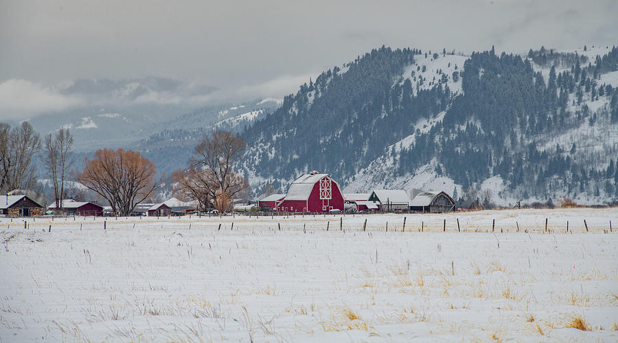 Winter Farmstead, Jackson Hole Photograph by Marcy Wielfaert