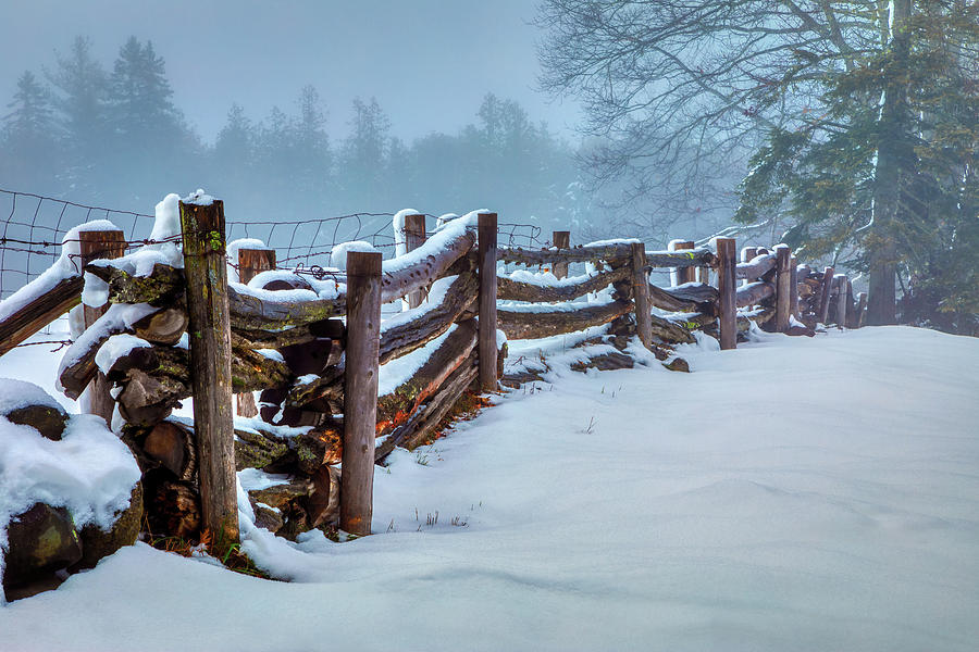 Winter Fence 34a3262 Photograph by Greg Hartford