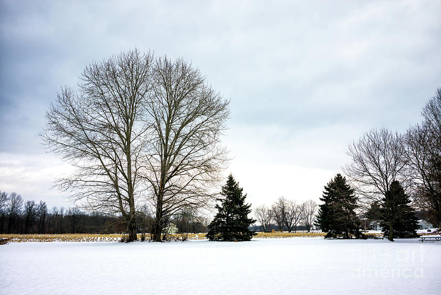 Winter Field in Bucks County Pennsylvania Photograph by John Rizzuto