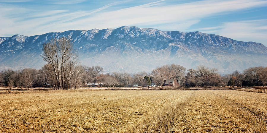 Winter Field - Sandia Mountains - Albuquerque Photograph by Nikolyn McDonald