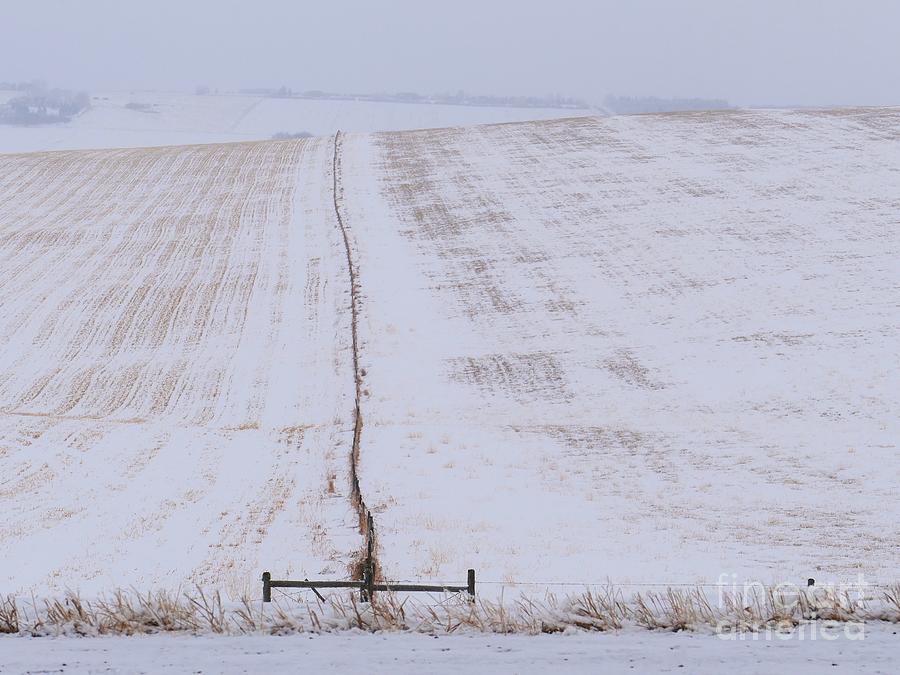 Winter Field Zipper .. C001 Photograph by Jor Cop Images