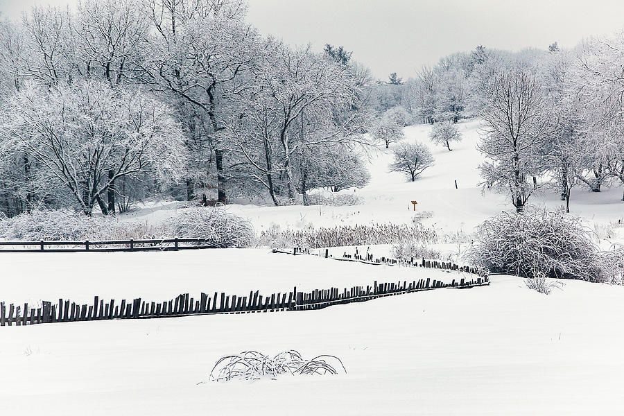 Winter Fields Photograph by Denise Kopko