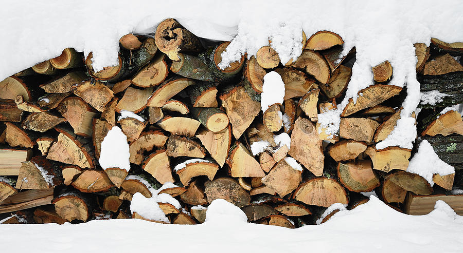 Winter Firewood Photograph by Steven Nelson