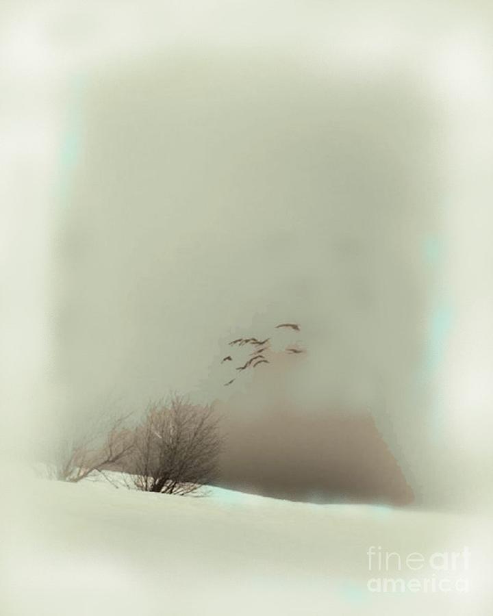 Winter flight Pyrography by Vesna Antic