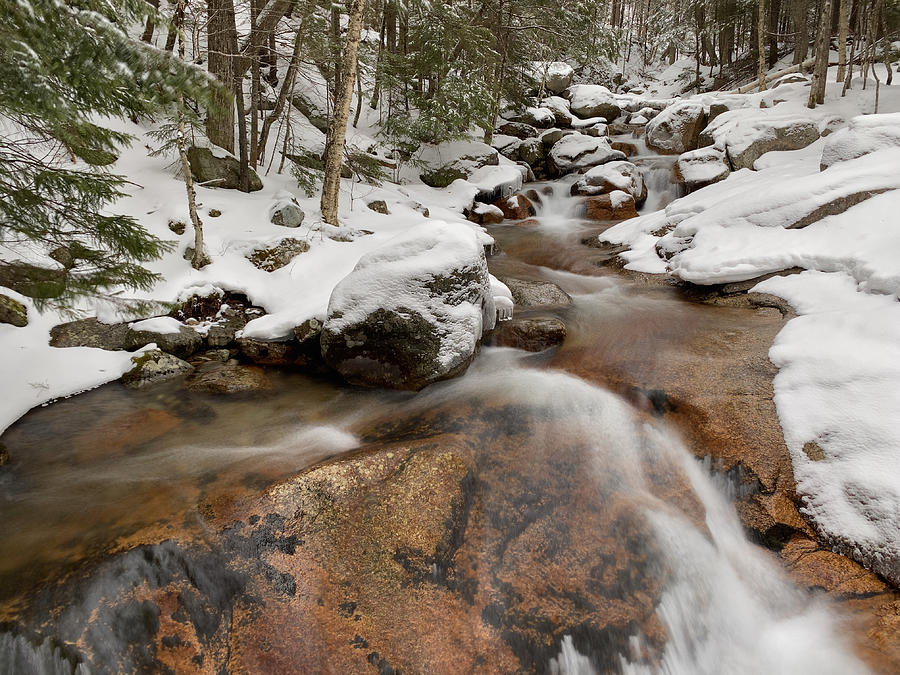 Winter Flow Photograph by Mark Truman
