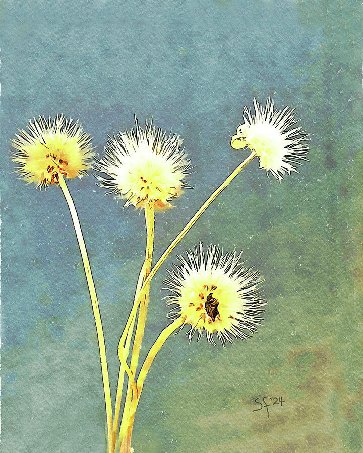 Winter Flowers- Mixed Media by Shelli Fitzpatrick