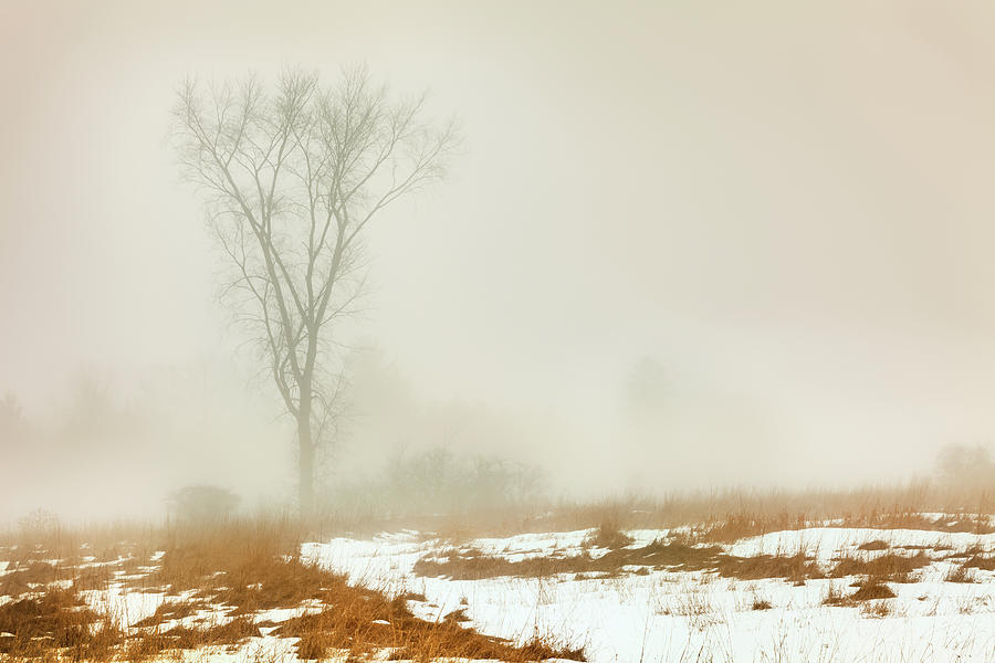 Winter Fog 1135 Photograph by Greg Hartford