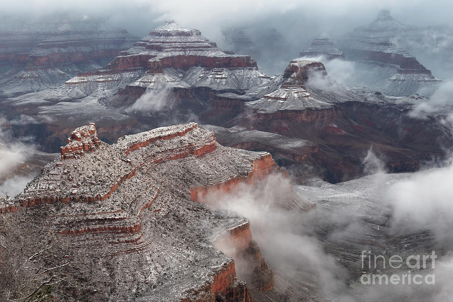 Winter Fog and Clouds in Grand Canyon National Park Photograph by Tom Schwabel