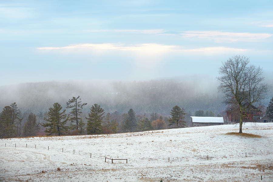 Winter Fog Photograph by Bill Wakeley