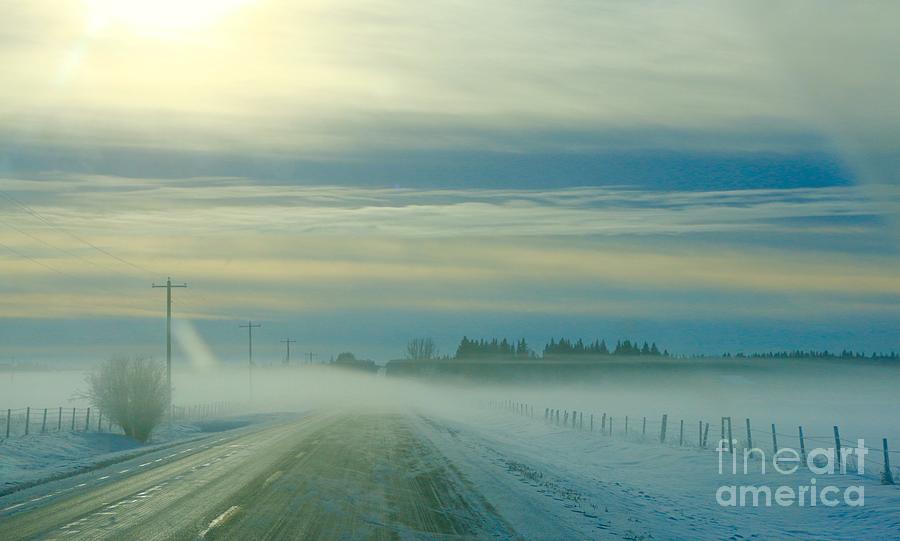 Winter Fog Photograph by Linda Bianic