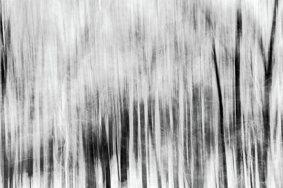 Winter Forest Abstract Motion Photograph by Dan Sproul