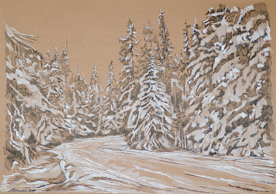 Winter forest Drawing by Aleksandr Petrunin