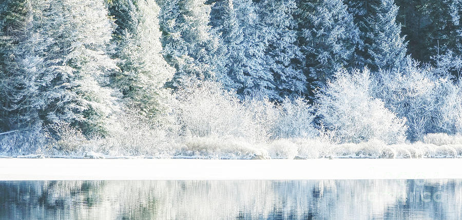 Winter Forest and Lake Landscape Photograph by Charline Xia