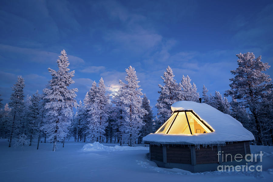 Winter forest, Northern Lights cabin at night Photograph by Delphimages Photo Creations