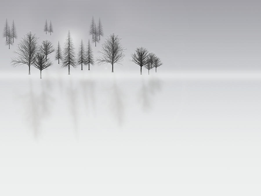Winter Forest Illustration Photograph by Karen Foley