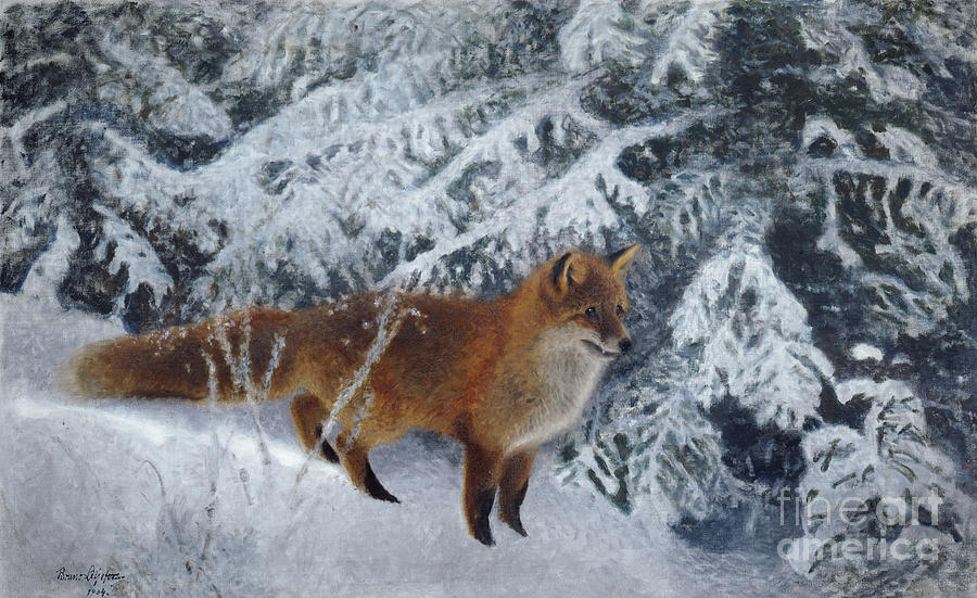 Winter fox, 1904  Painting by O Vaering by Bruno Liljefors
