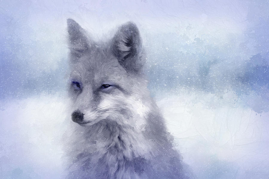 Winter Fox Digital Art by Terry Davis