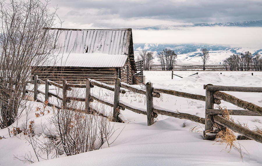 Winter Fresh, A Country Landscape Photograph by Marcy Wielfaert
