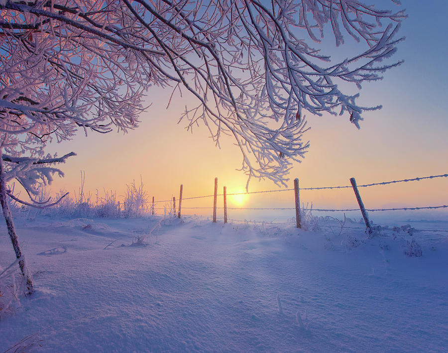 Winter Fresh Photograph by Dan Jurak