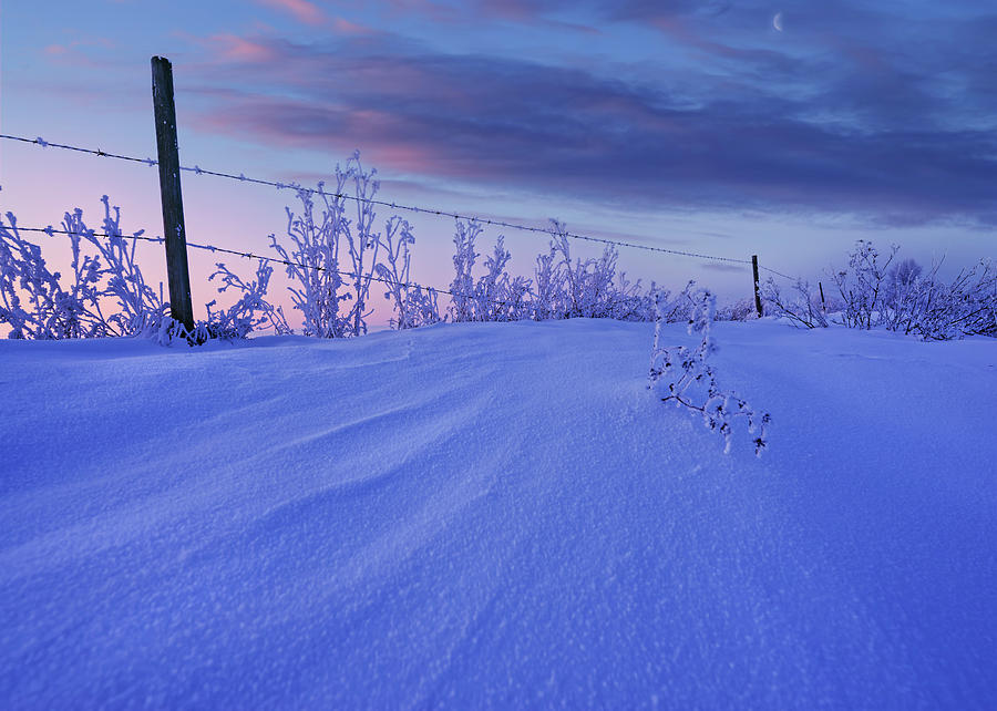 Winter from the Ditch Photograph by Dan Jurak