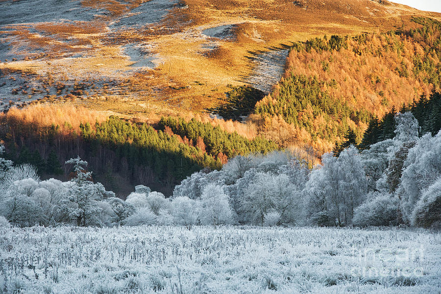 Winter Frost in a Scottish Valley Photograph by Tim Gainey