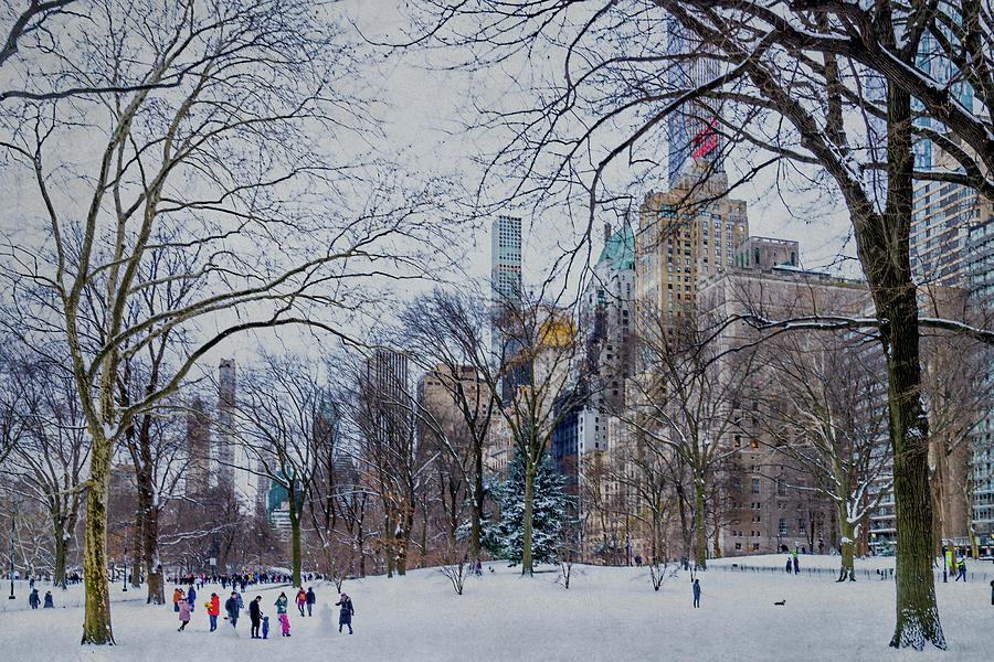 Winter Fun In Central Park Photograph by Chris Lord