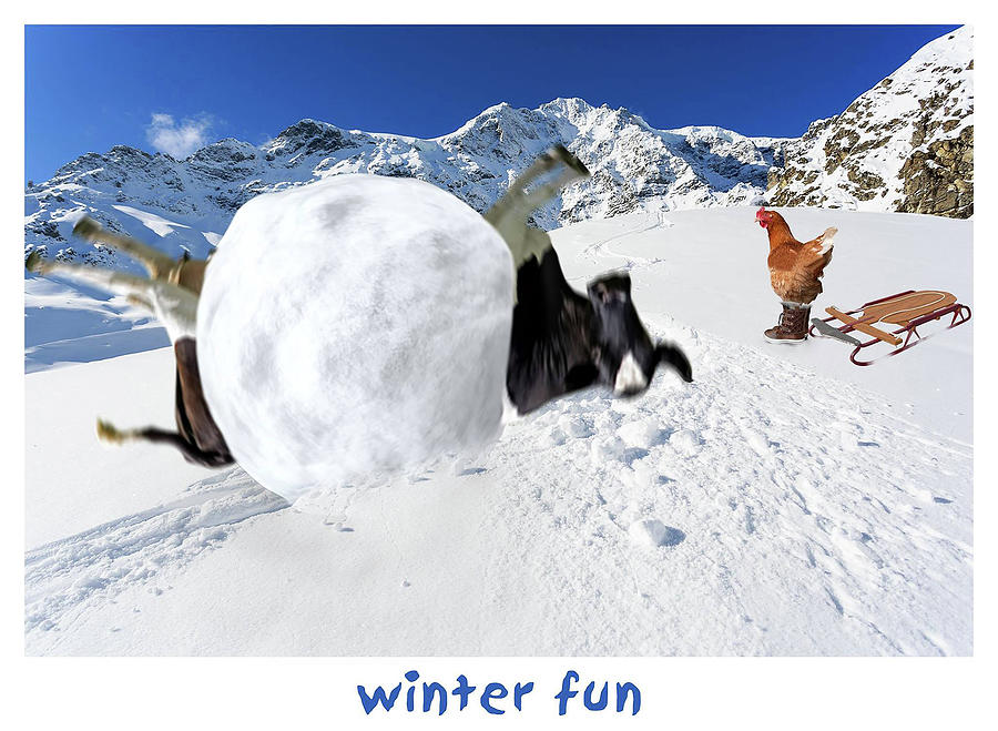 Winter fun Photograph by James Bethanis