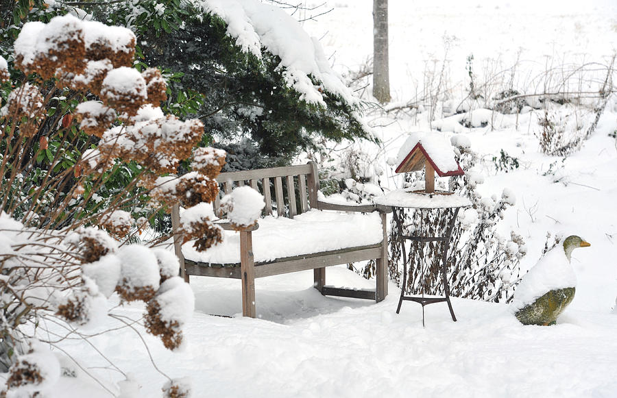 Winter garden with bench, bird feeder,side table ,stone goose Photograph by Brytta