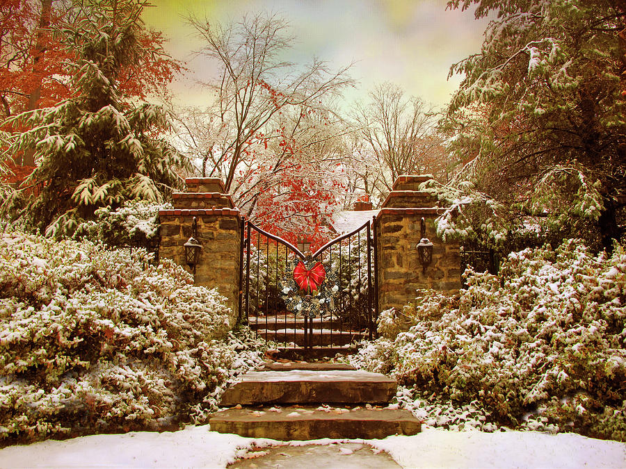 Winter Gates Photograph by Jessica Jenney