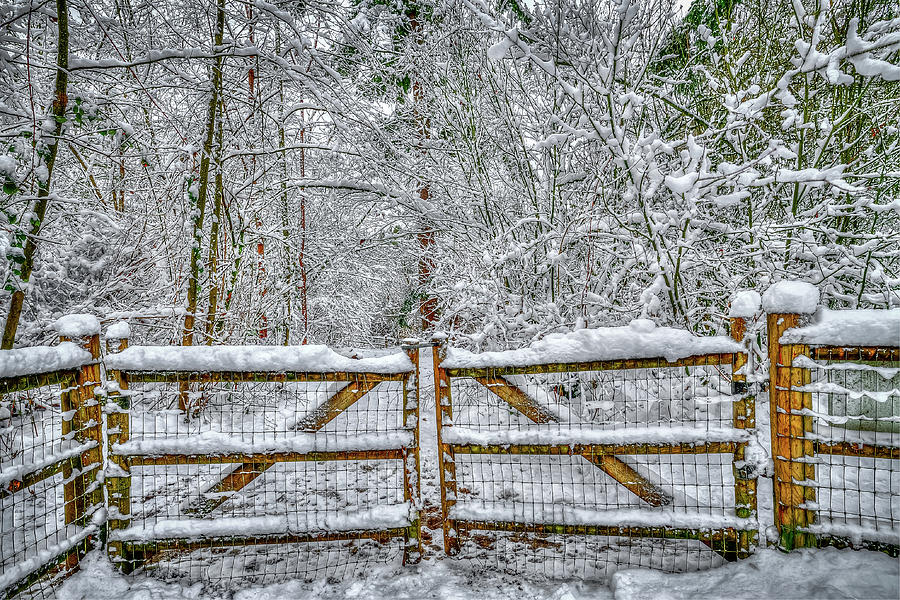Winter Gates To Heaven Photograph