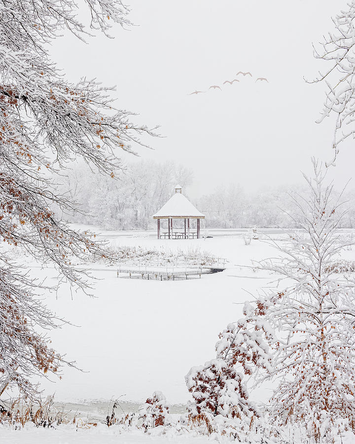 Winter Gazebo at Simley Island Pond Photograph by Patti Deters
