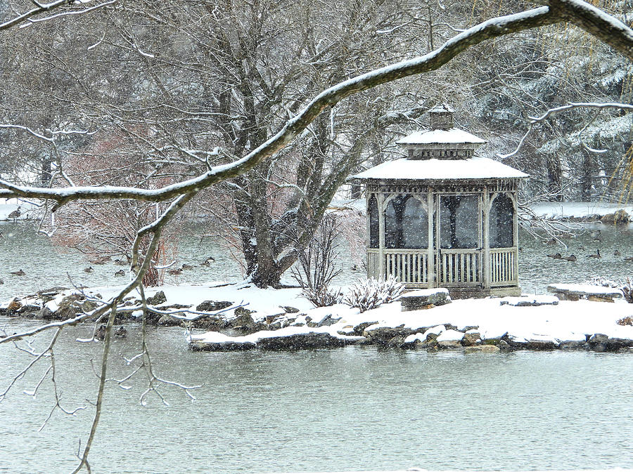 Winter Gazebo Photograph by Living Color Photography Lorraine Lynch