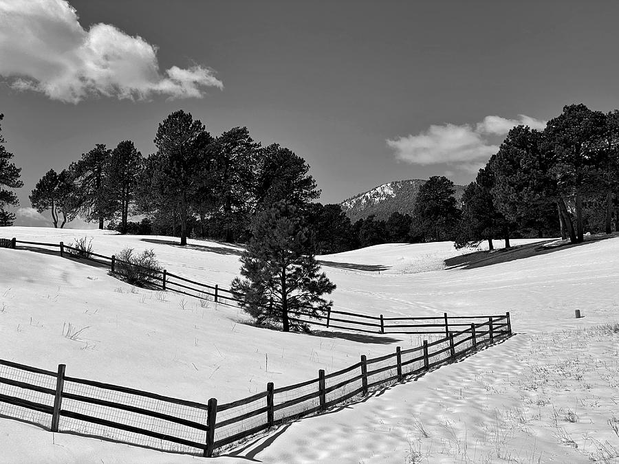 Winter Geometry Photograph by Dan Miller