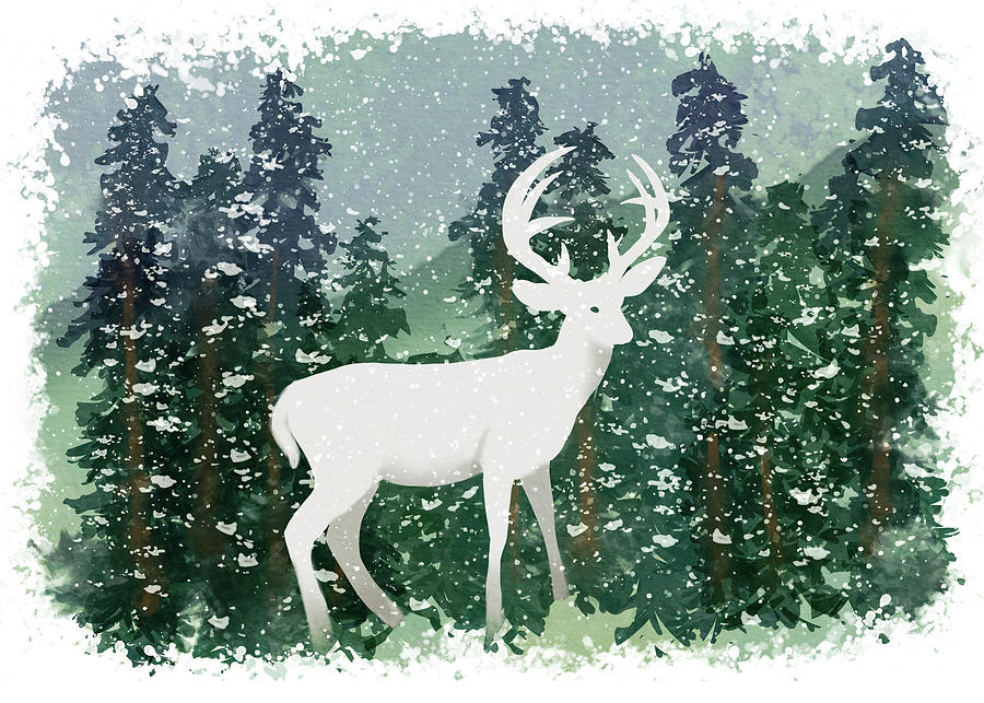 Winter Ghost Buck Drawing by Patti Deters