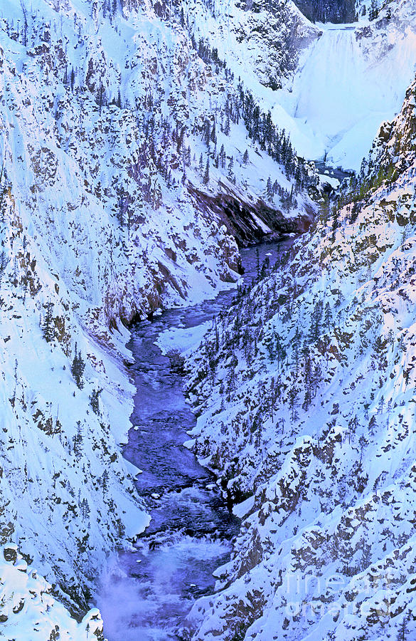 Winter Grand Canyon Of The Yellowstone Yellowstone Np Photograph by Dave Welling